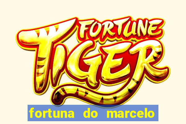 fortuna do marcelo do fluminense