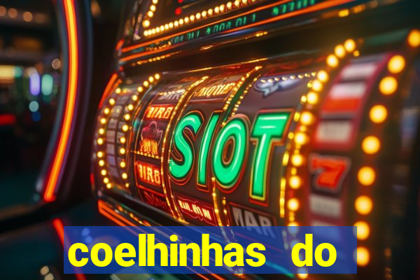 coelhinhas do brasil recife