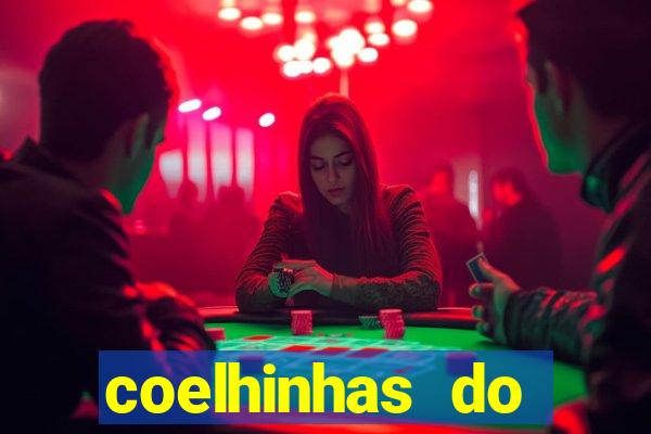 coelhinhas do brasil recife