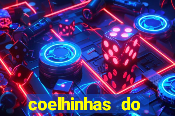 coelhinhas do brasil recife