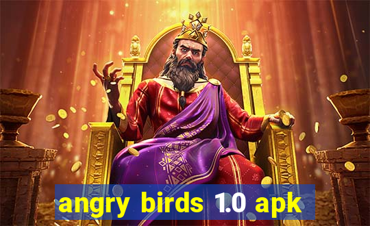 angry birds 1.0 apk