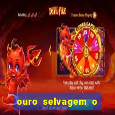 ouro selvagem o que aconteceu na vida