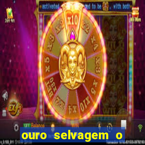 ouro selvagem o que aconteceu na vida