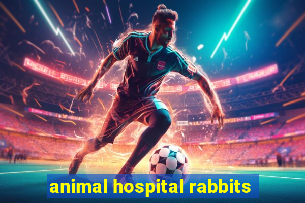 animal hospital rabbits