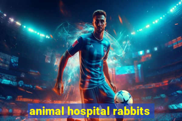 animal hospital rabbits