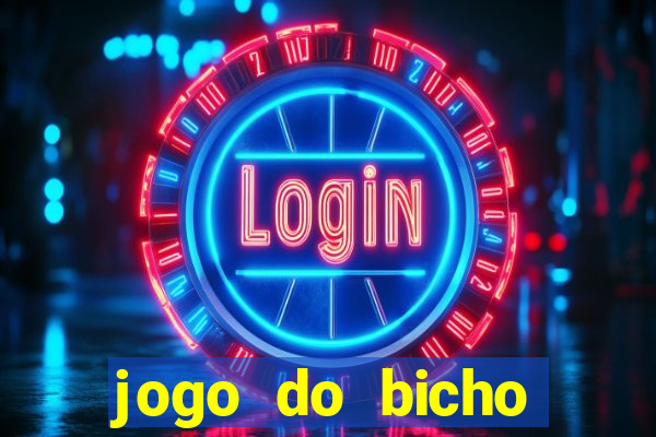 jogo do bicho crash bingo