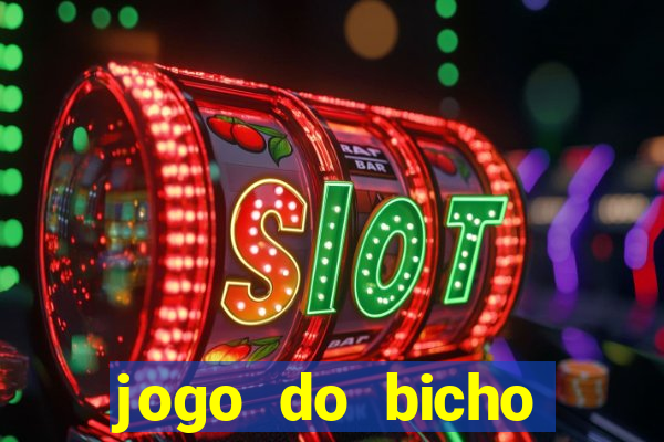 jogo do bicho crash bingo