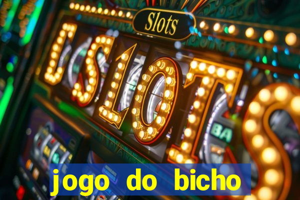 jogo do bicho crash bingo