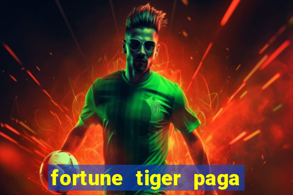 fortune tiger paga de madrugada