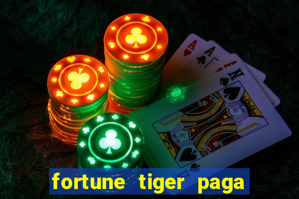 fortune tiger paga de madrugada