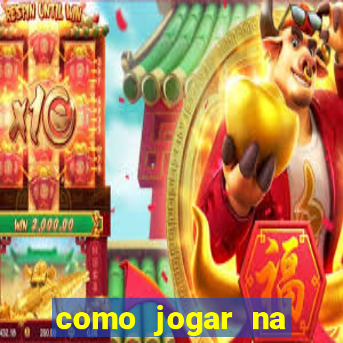 como jogar na seninha online