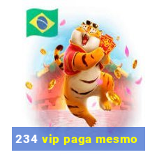 234 vip paga mesmo