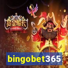 bingobet365