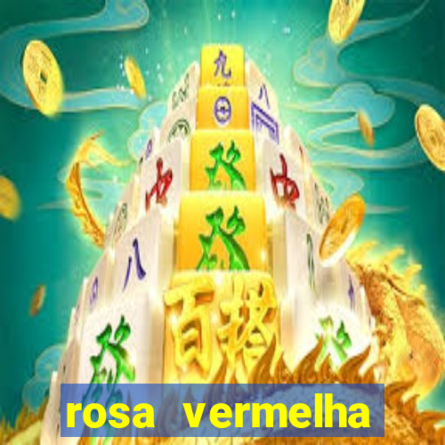 rosa vermelha (letra e cifra)