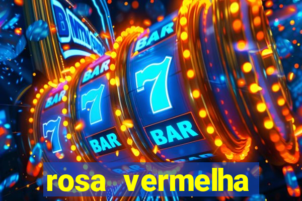 rosa vermelha (letra e cifra)