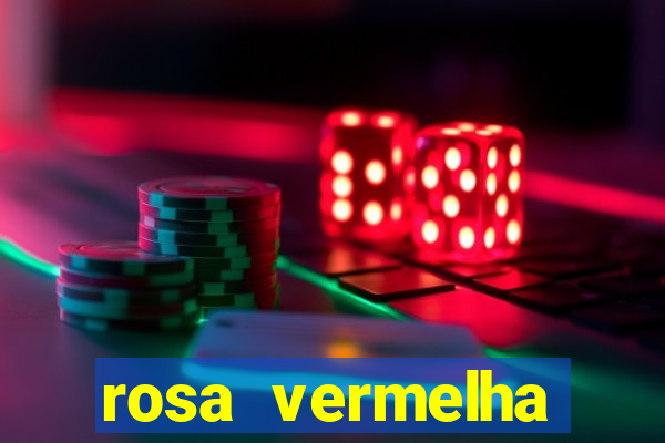 rosa vermelha (letra e cifra)