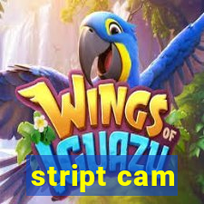 stript cam