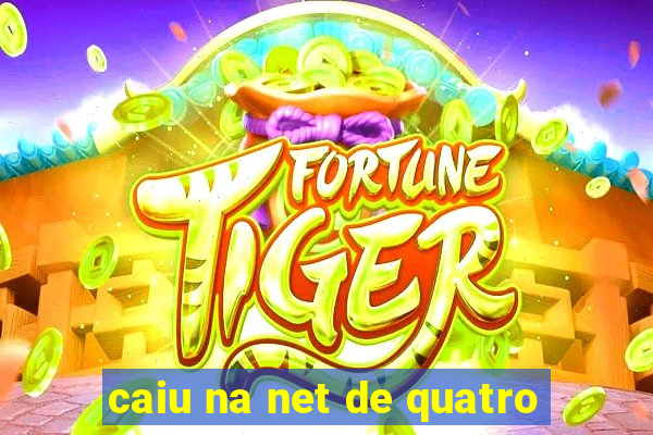 caiu na net de quatro