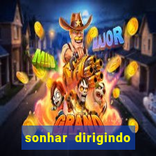 sonhar dirigindo carro jogo do bicho