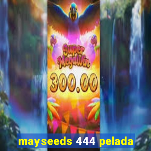 mayseeds 444 pelada