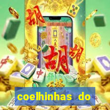 coelhinhas do brasil site