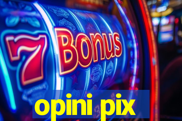 opini pix