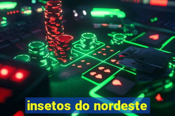 insetos do nordeste