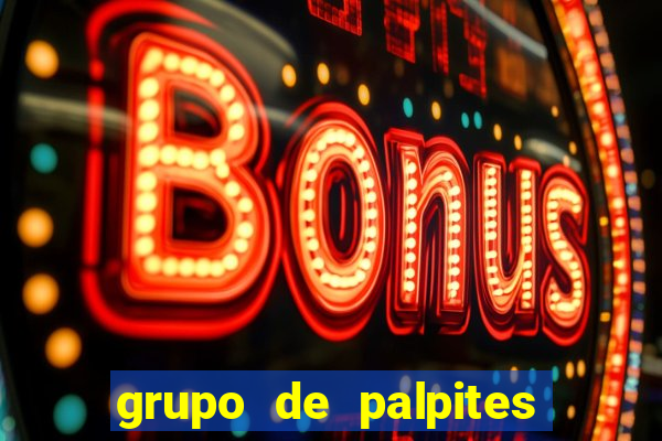 grupo de palpites de futebol whatsapp