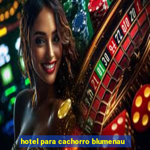 hotel para cachorro blumenau