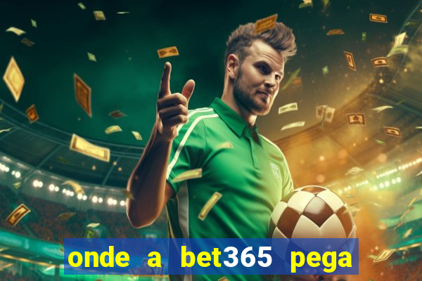 onde a bet365 pega as estatisticas