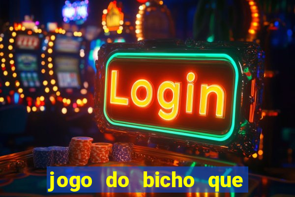 jogo do bicho que paga no pix