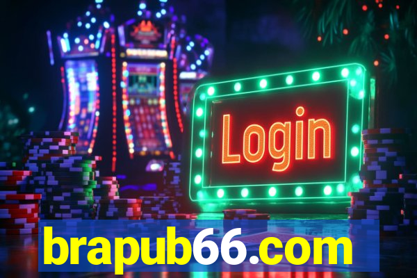 brapub66.com