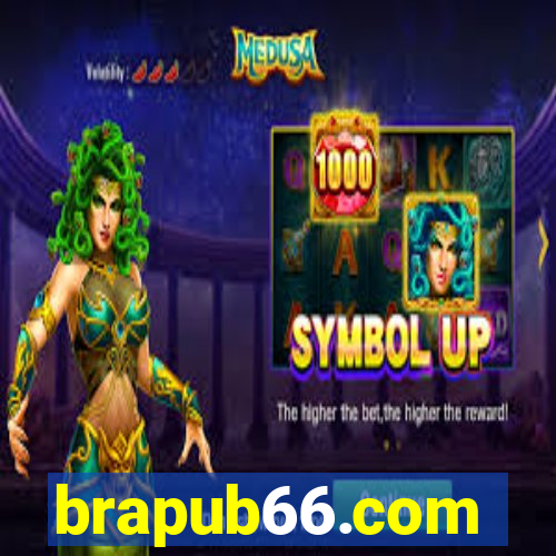 brapub66.com