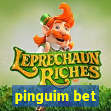 pinguim bet