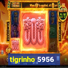 tigrinho 5956