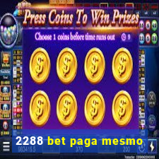 2288 bet paga mesmo