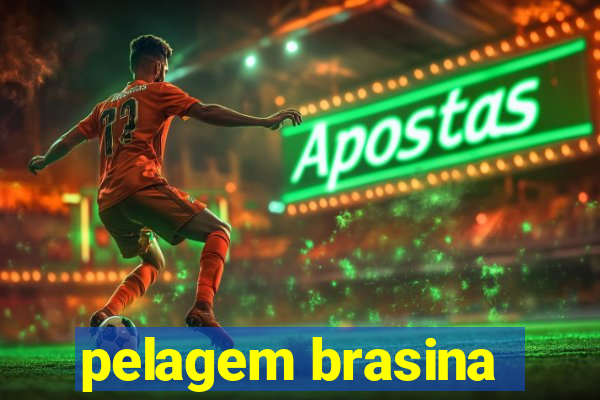 pelagem brasina