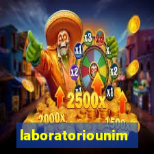 laboratoriounimedblumenau.com.br