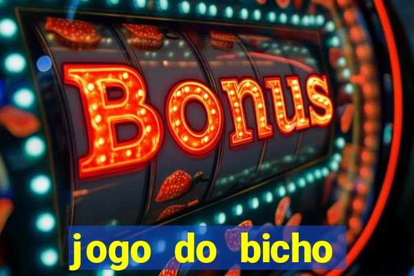 jogo do bicho tipos de apostas