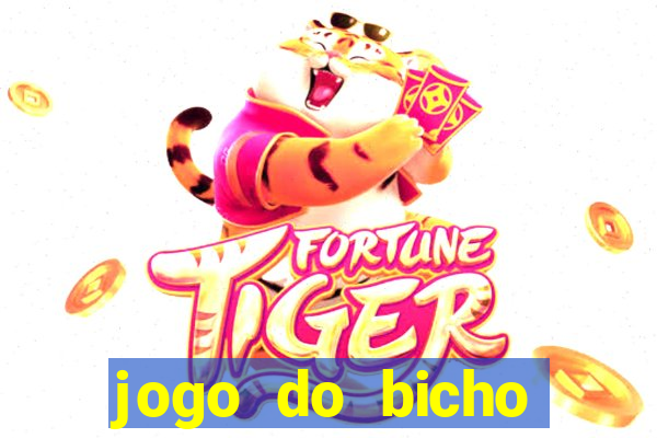 jogo do bicho tipos de apostas