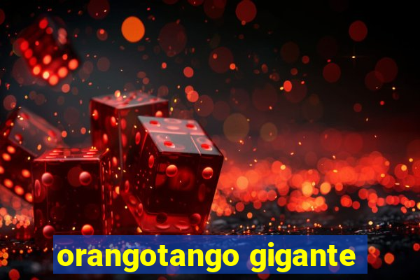 orangotango gigante