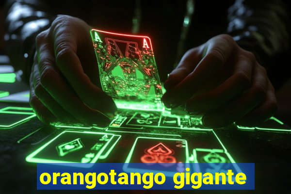 orangotango gigante