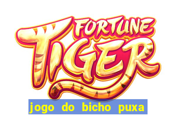 jogo do bicho puxa de dona maria