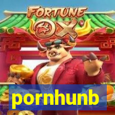 pornhunb