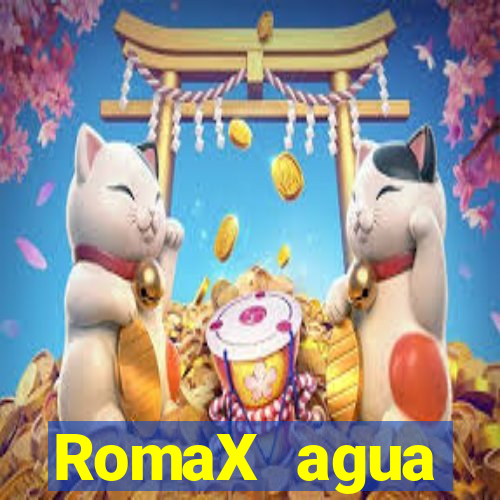 RomaX agua sanitaria fispq agua sanitaria romax