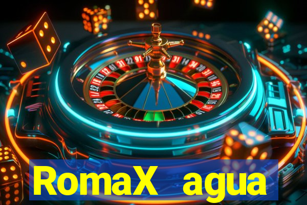 RomaX agua sanitaria fispq agua sanitaria romax