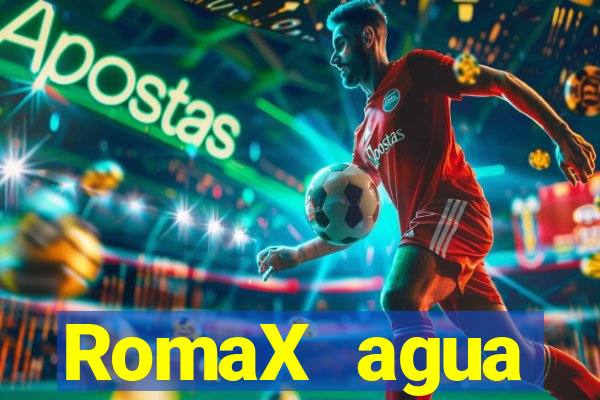 RomaX agua sanitaria fispq agua sanitaria romax