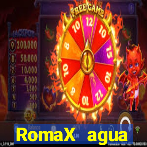 RomaX agua sanitaria fispq agua sanitaria romax