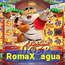 RomaX agua sanitaria fispq agua sanitaria romax