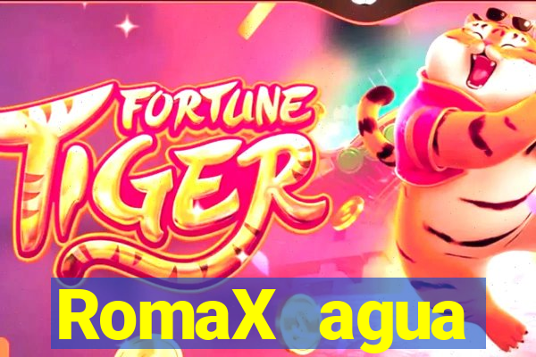 RomaX agua sanitaria fispq agua sanitaria romax